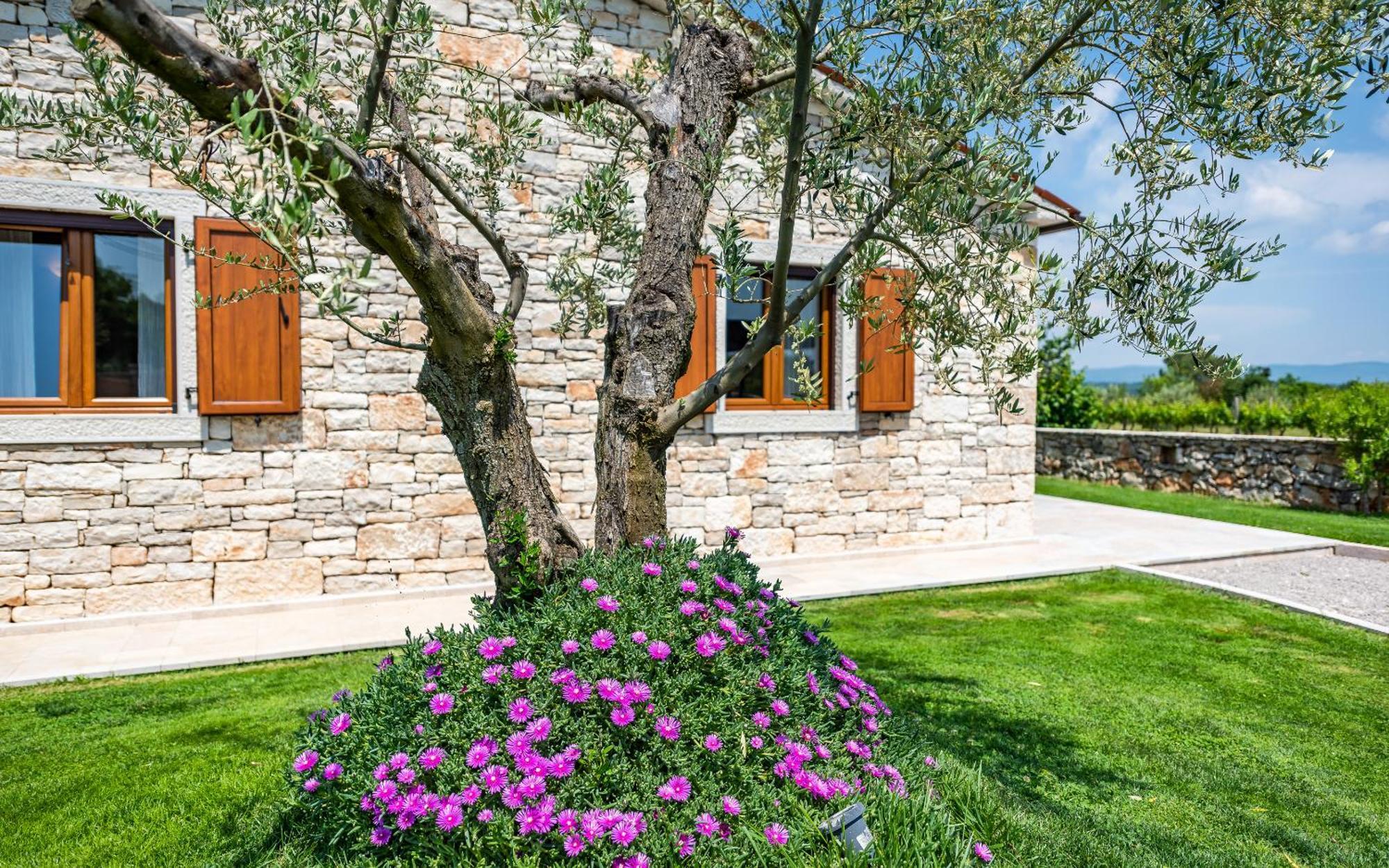 Villa Oliveta By Istrialux Filipana Exterior foto